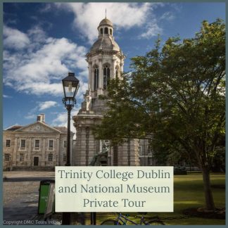 Trinity College Dublin And National Museum Private Tour
